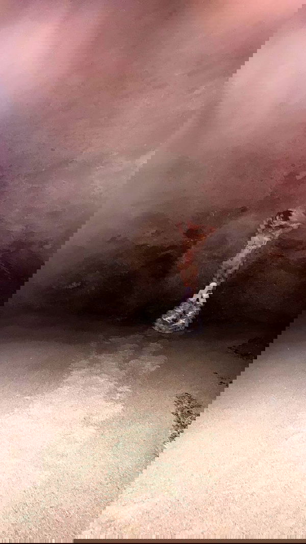 zommmbri image ~ Altpins