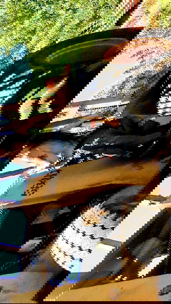 zommmbri image ~ Altpins