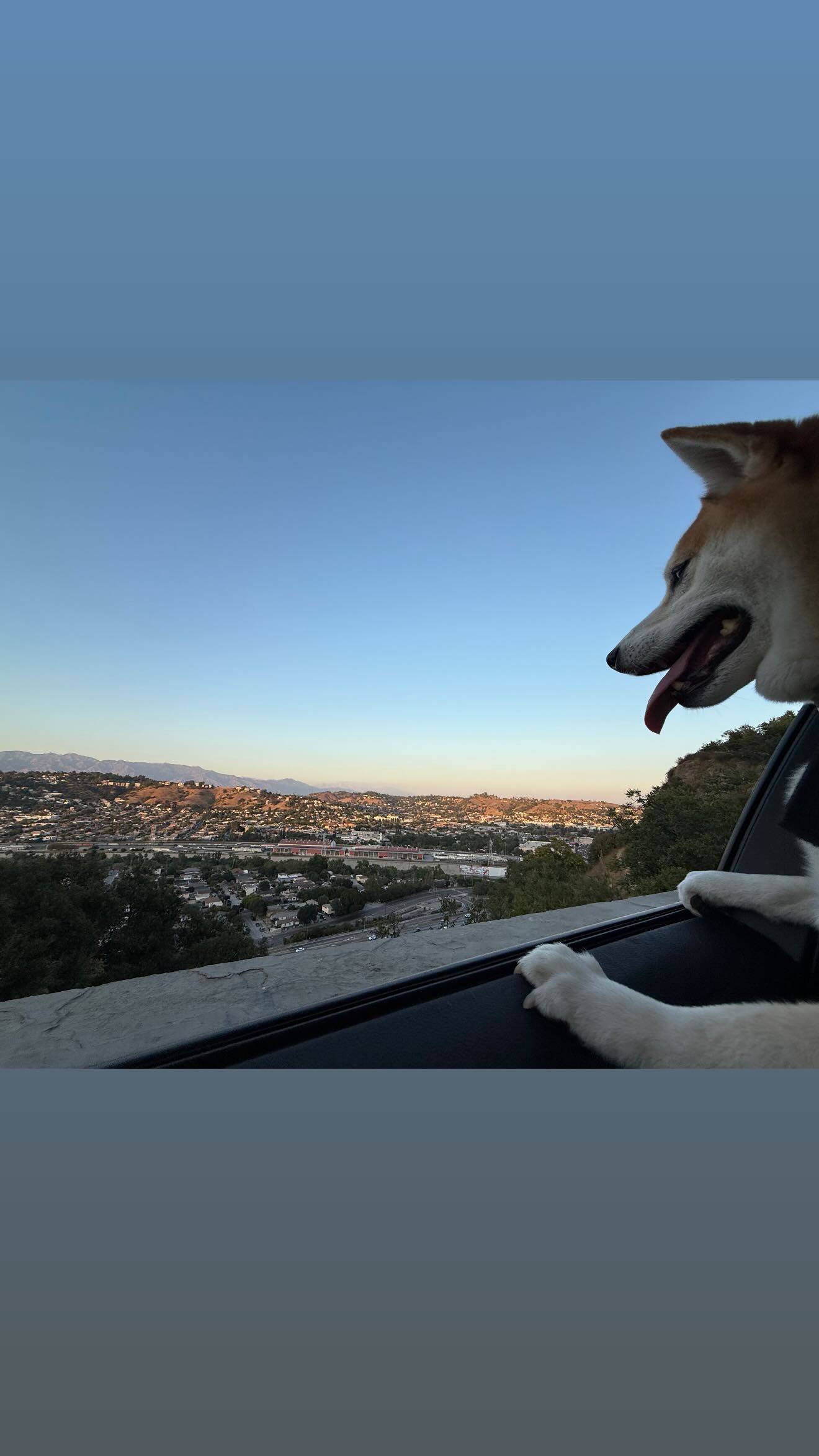 zommmbri instagram image archive image