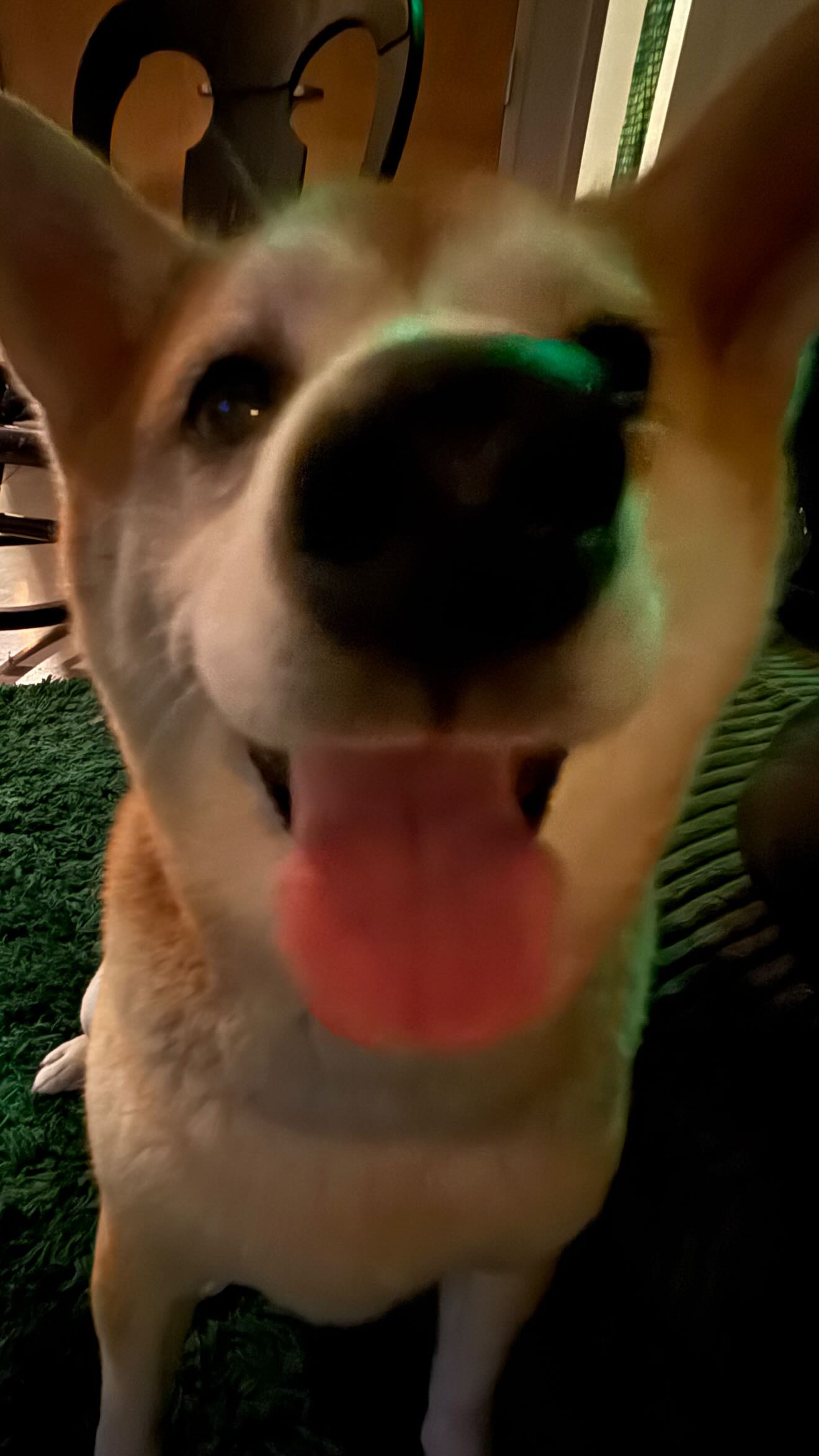 zommmbri instagram image archive image