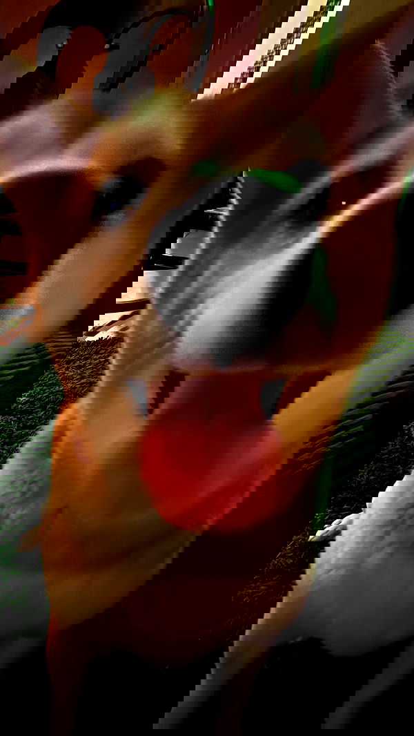 zommmbri image ~ Altpins