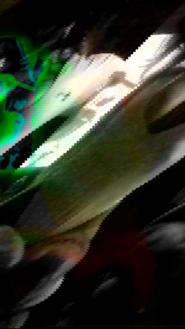 zommmbri image ~ Altpins