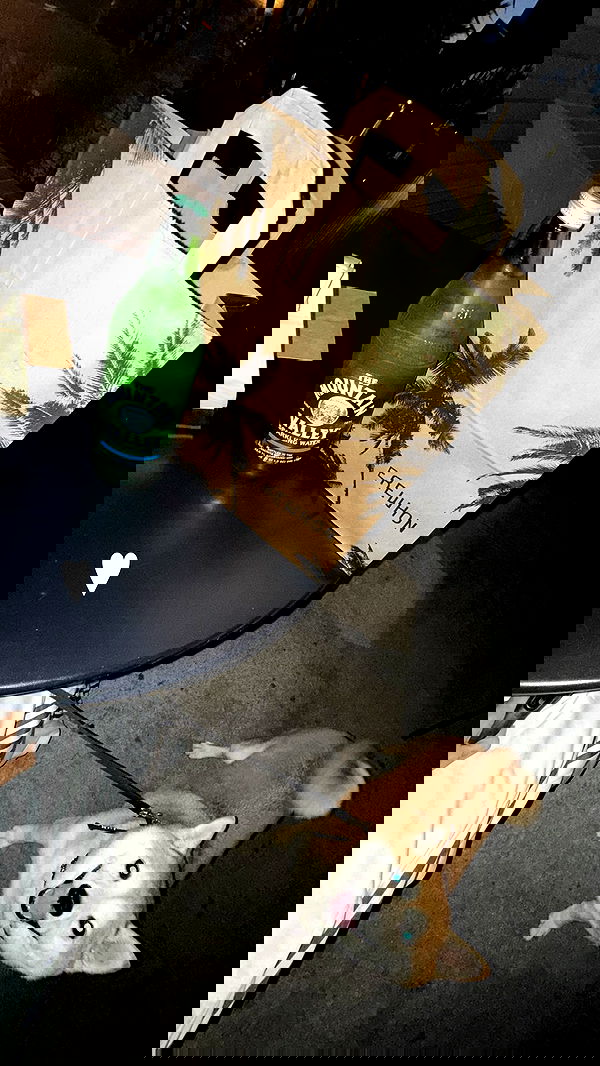 zommmbri image ~ Altpins