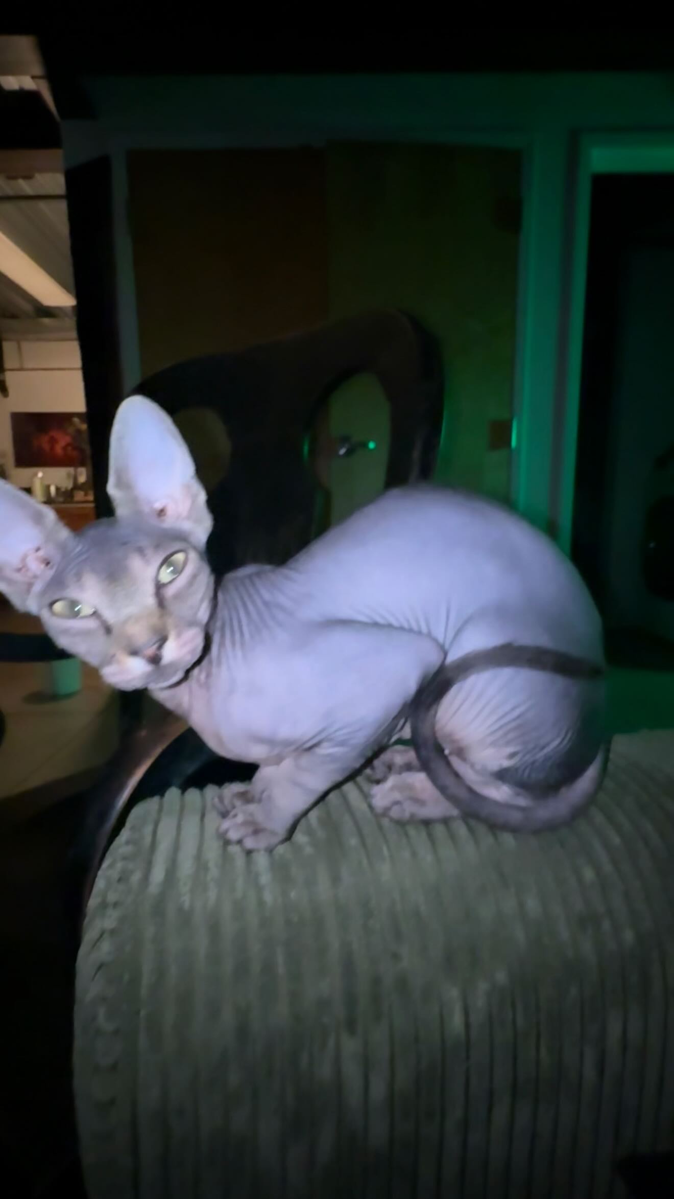 zommmbri instagram image archive image