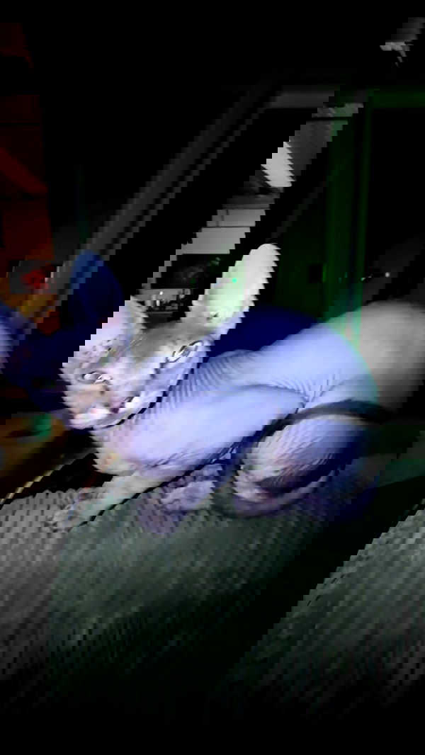 zommmbri image ~ Altpins