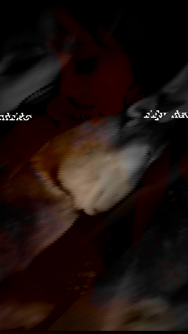 zommmbri image ~ Altpins