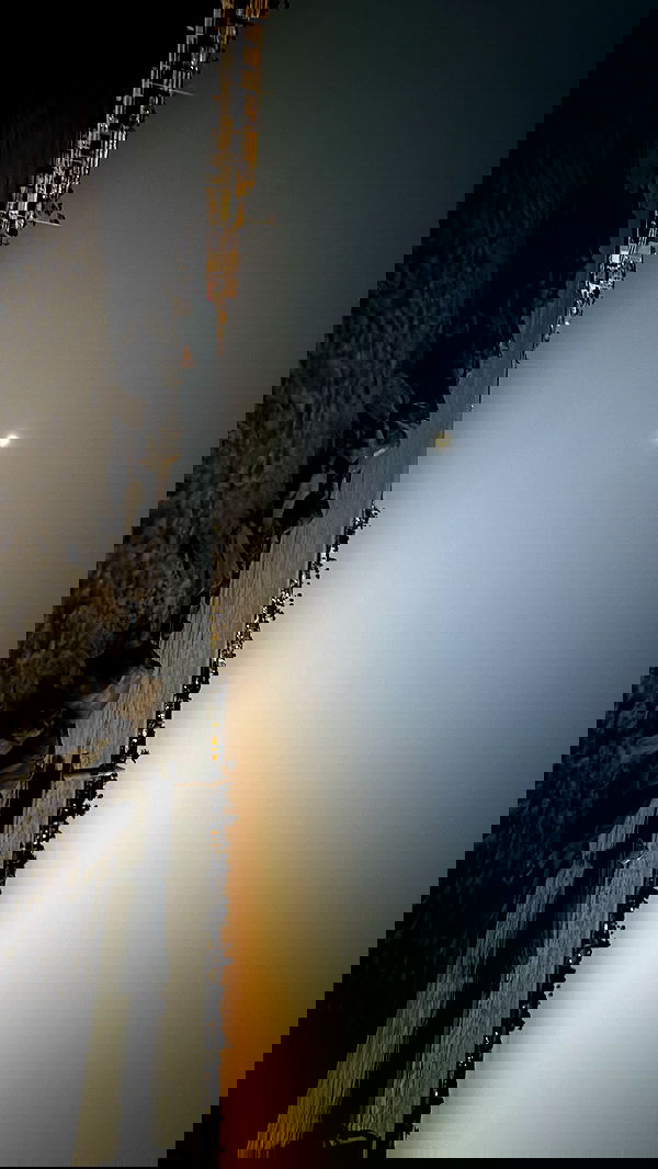 zommmbri image ~ Altpins