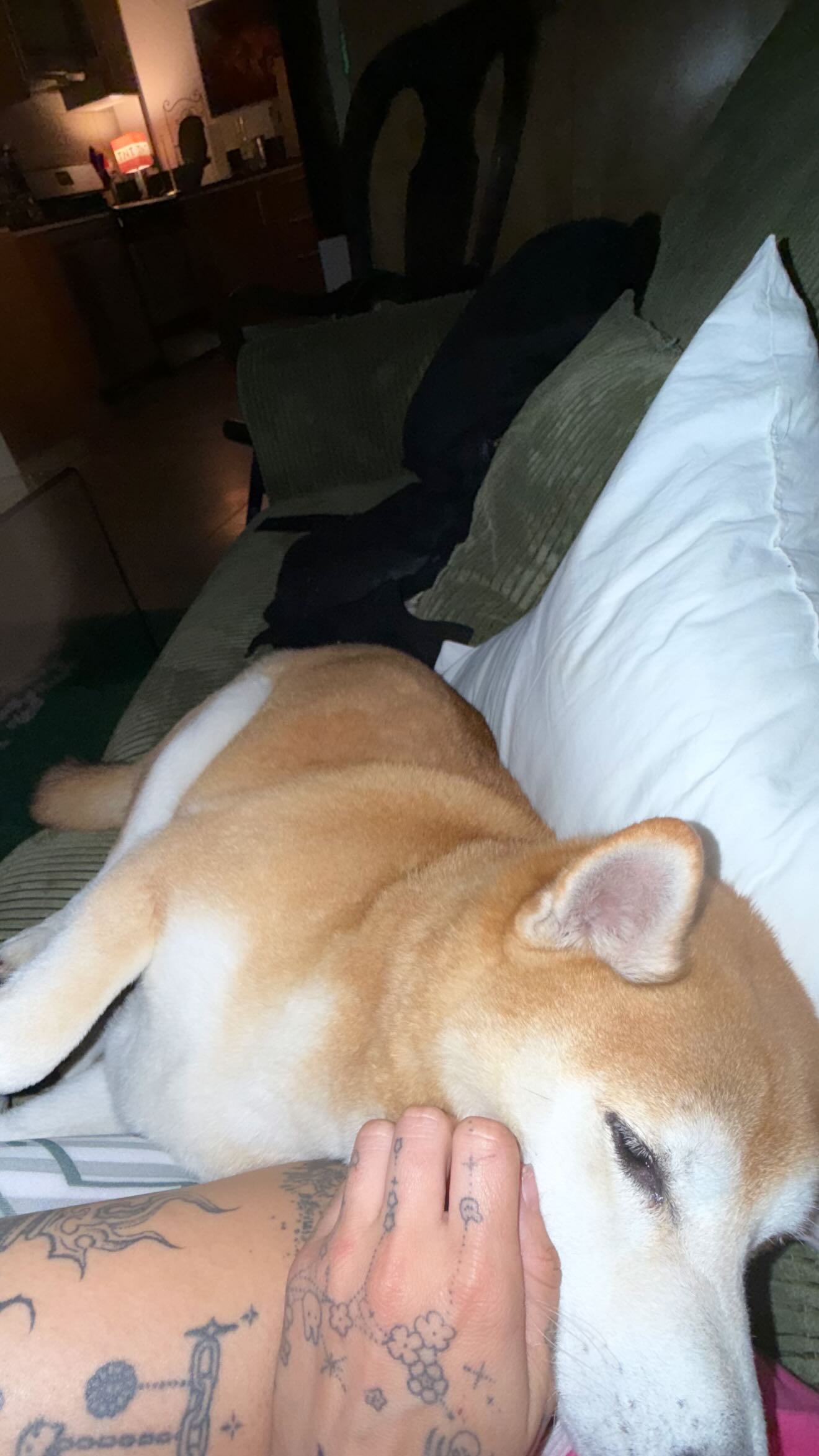 zommmbri instagram image archive image