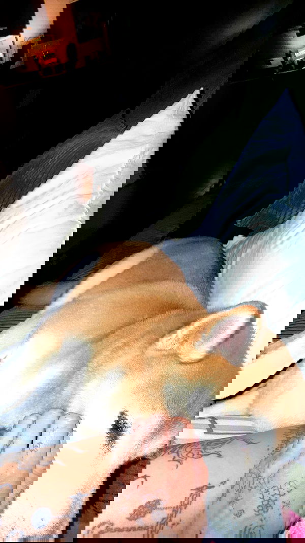 zommmbri image ~ Altpins