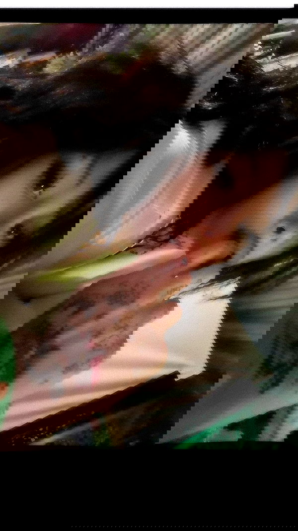 zommmbri image ~ Altpins