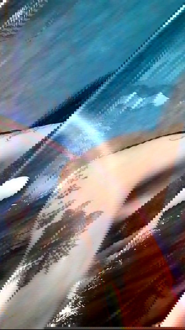 zommmbri image ~ Altpins