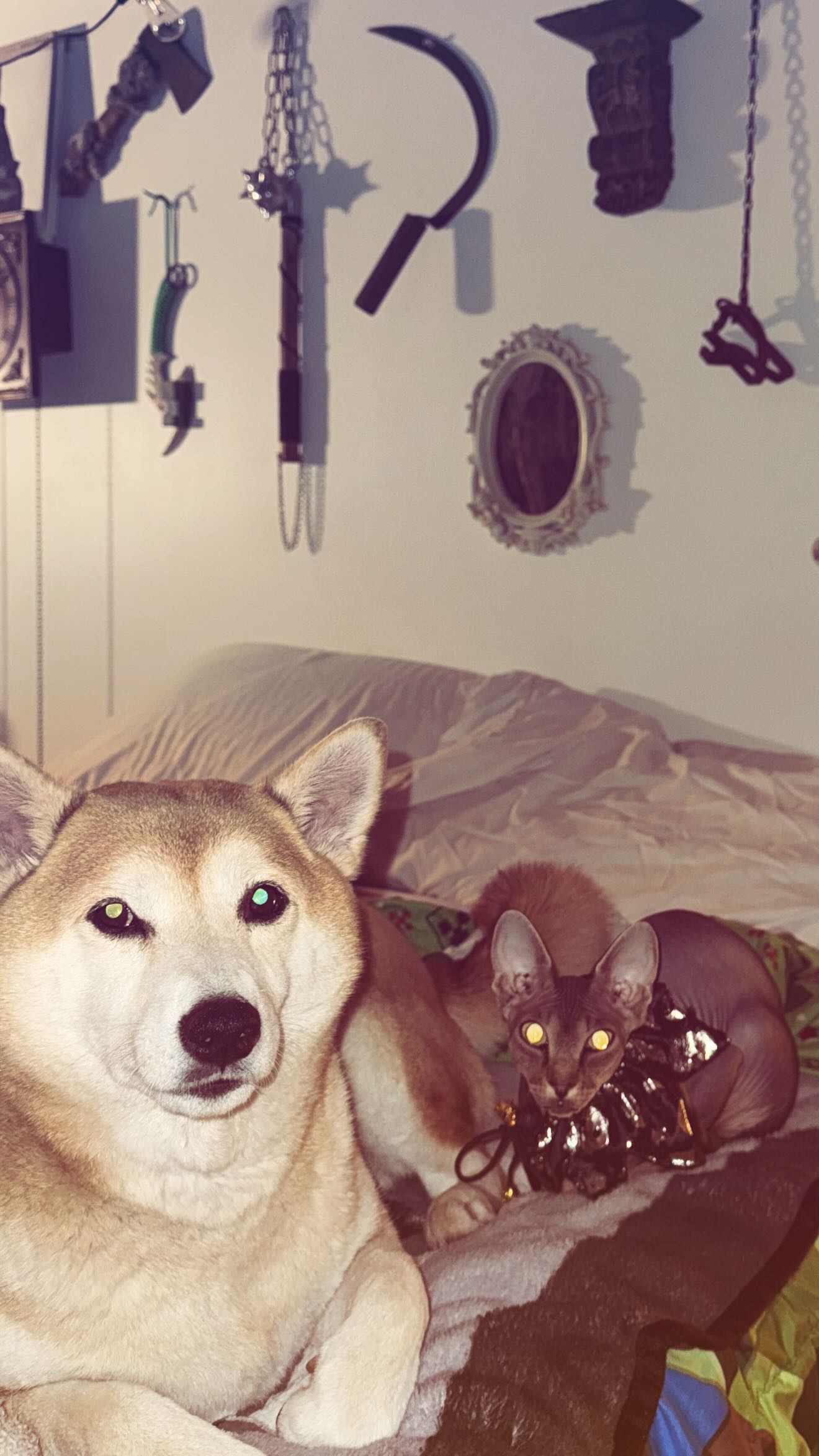 zommmbri instagram image archive image