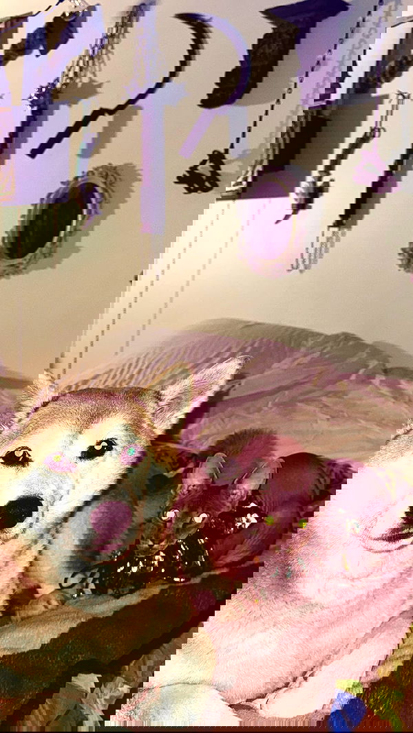 zommmbri image ~ Altpins