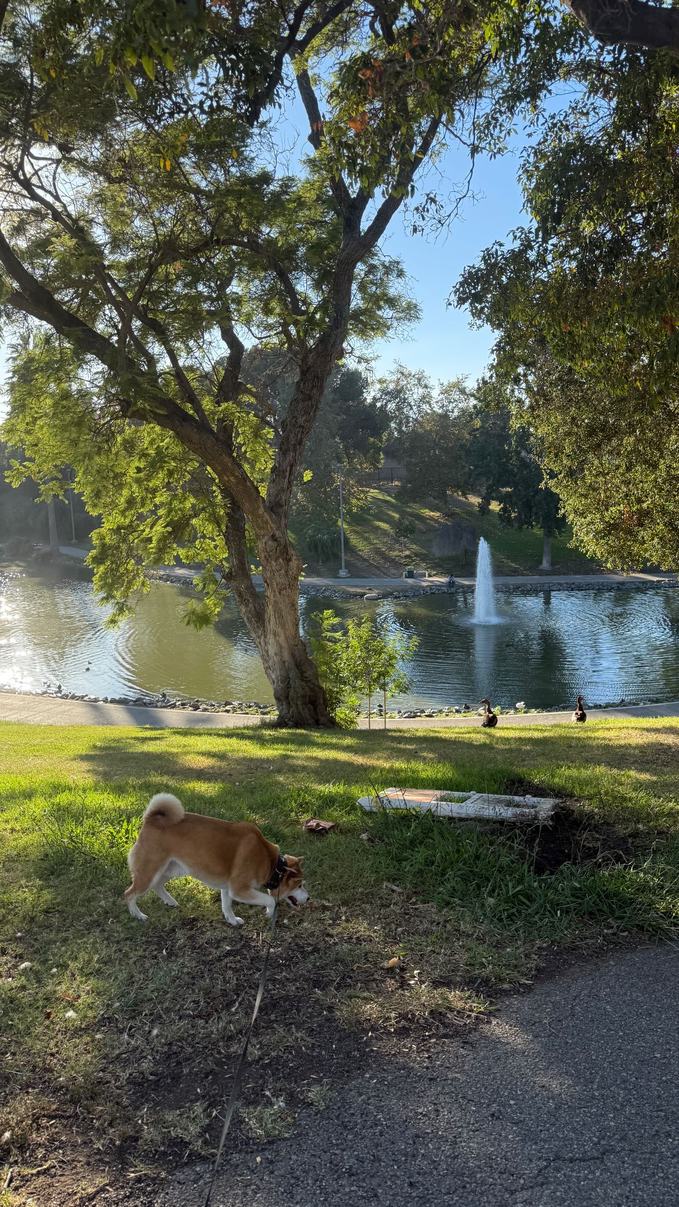 zommmbri instagram image archive image