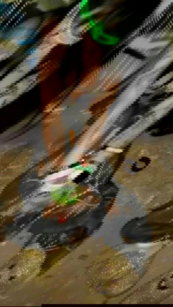 zommmbri image ~ Altpins