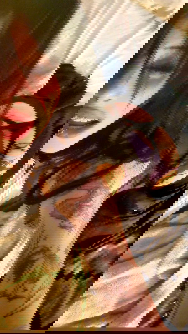 zommmbri image ~ Altpins