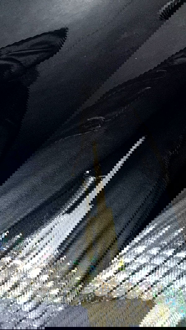 zommmbri image ~ Altpins