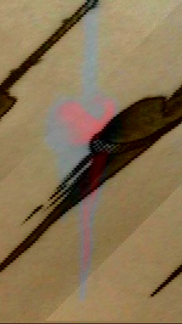 zommmbri image ~ Altpins