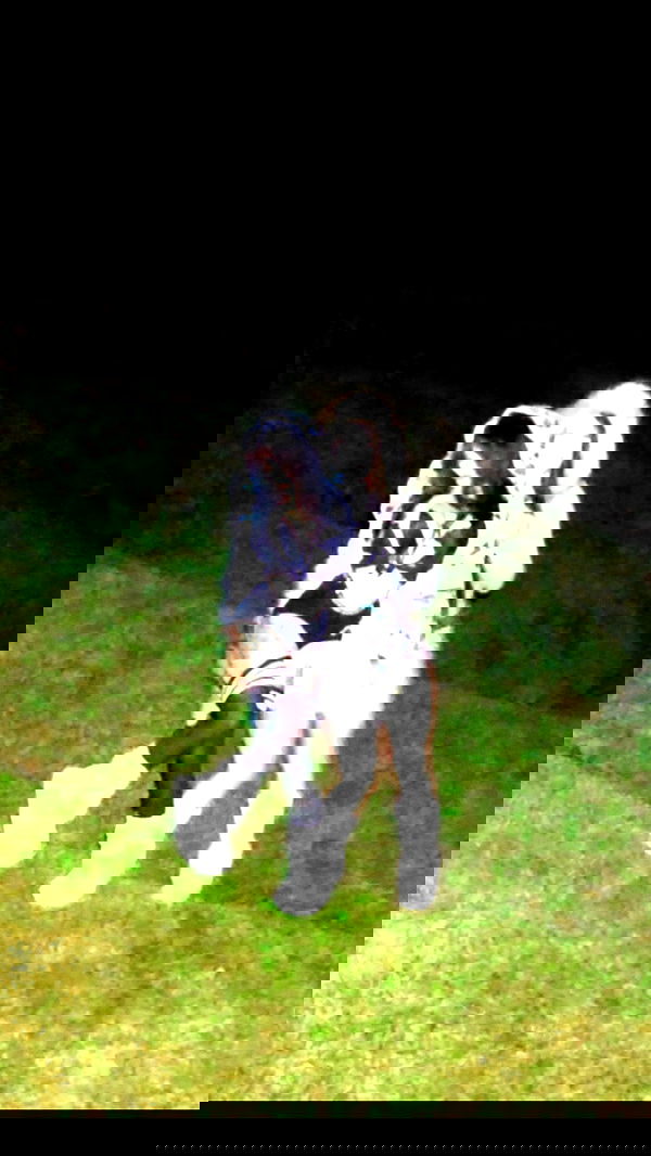 zommmbri image ~ Altpins