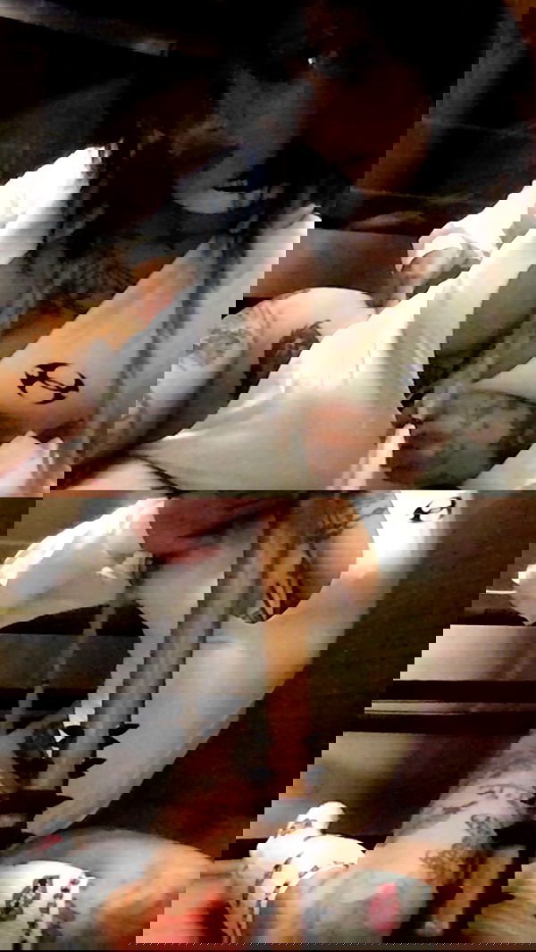 zommmbri image ~ Altpins