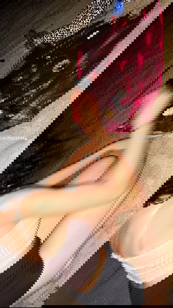 zommmbri image ~ Altpins