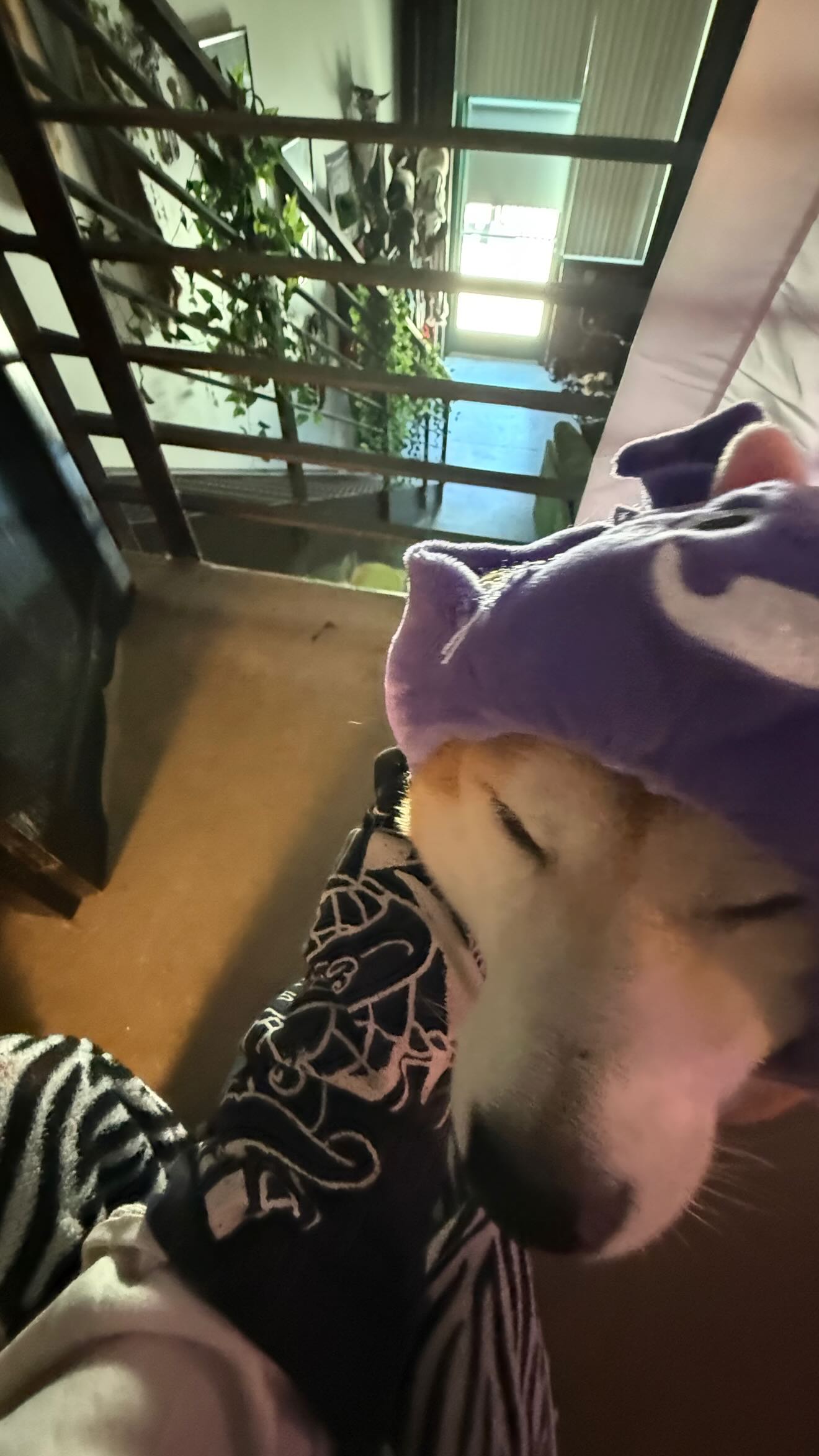 zommmbri instagram image archive image