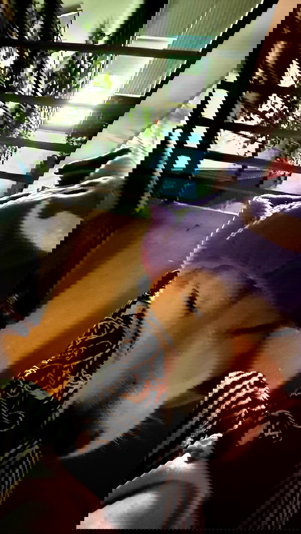 zommmbri image ~ Altpins