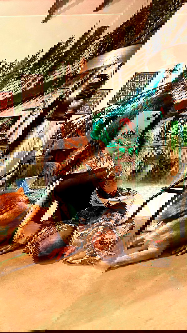 zommmbri image ~ Altpins