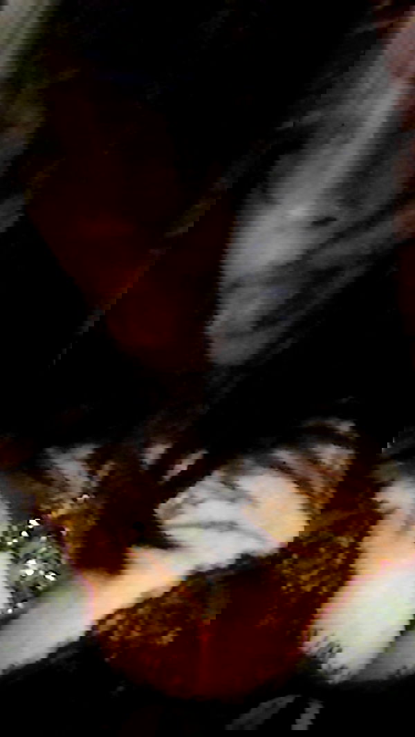 zommmbri image ~ Altpins