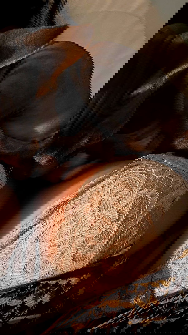 zommmbri image ~ Altpins