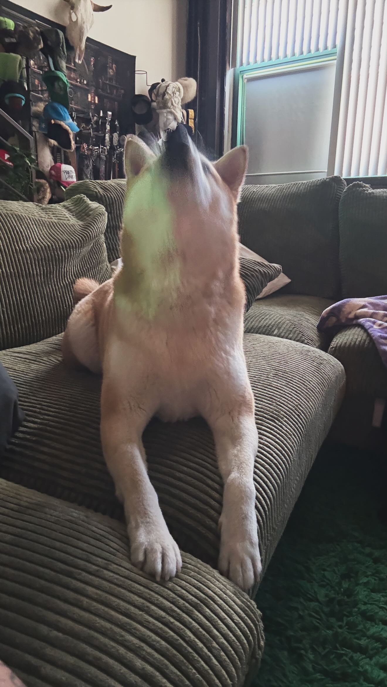 zommmbri instagram image archive image