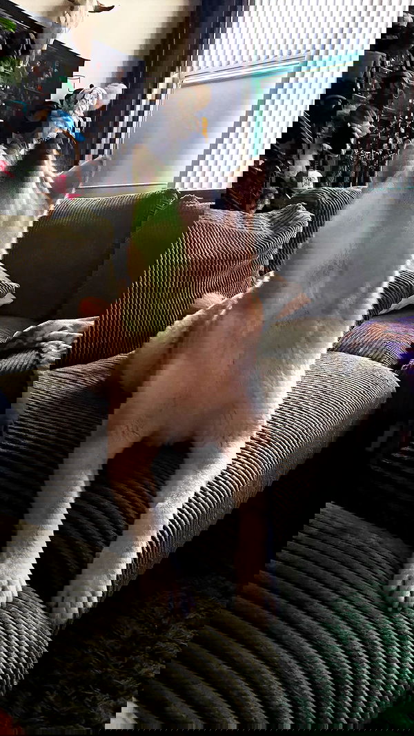 zommmbri image ~ Altpins