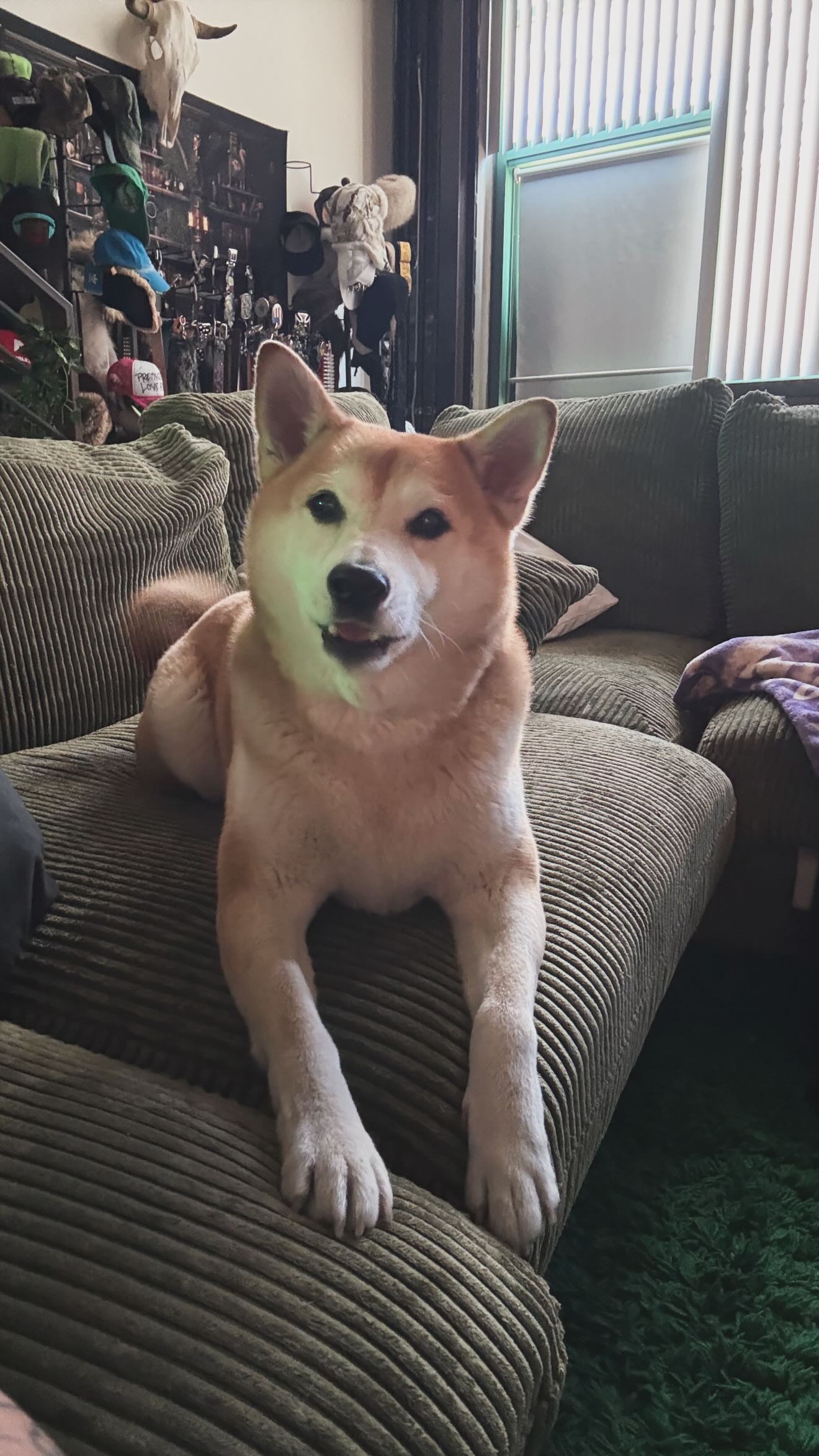 zommmbri instagram image archive image