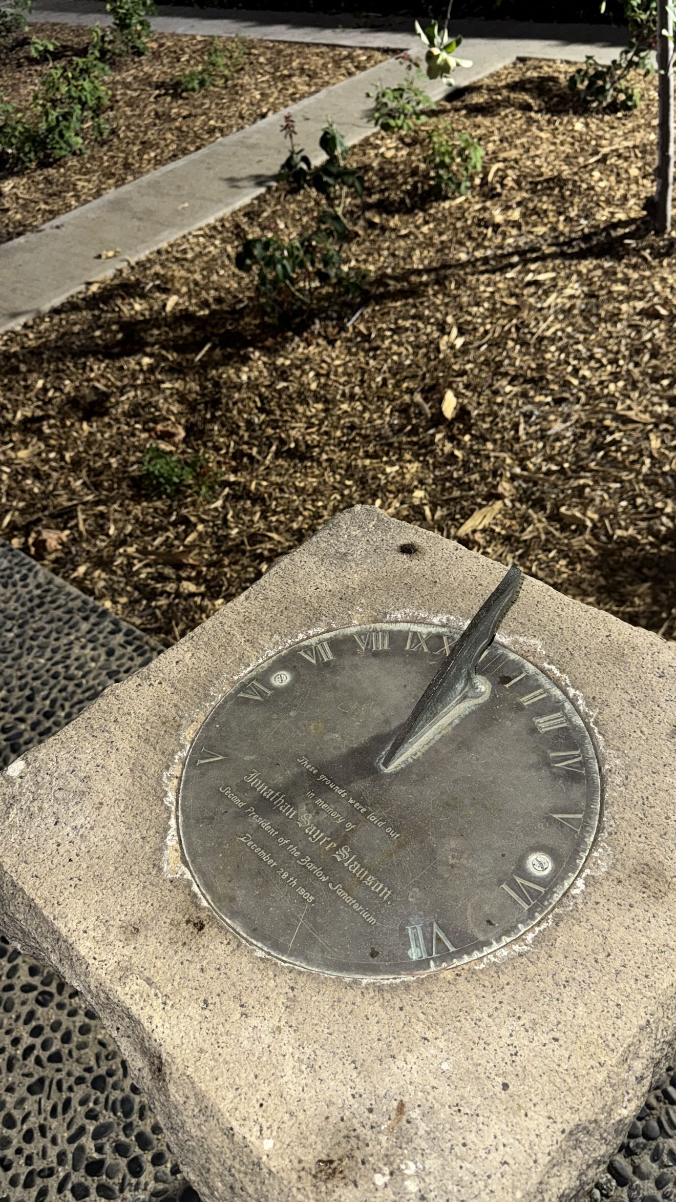 zommmbri instagram image archive image