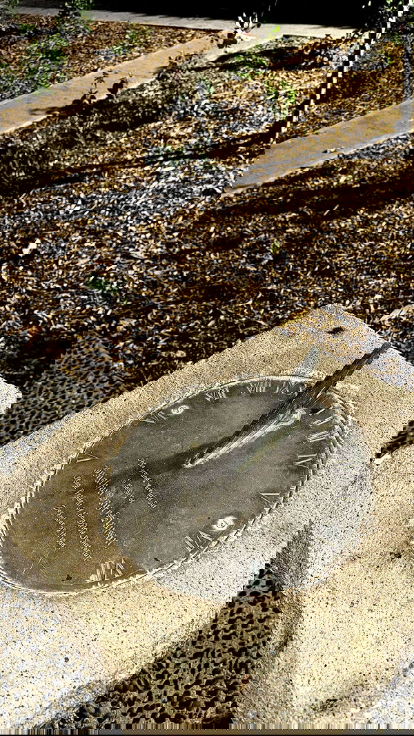 zommmbri image ~ Altpins