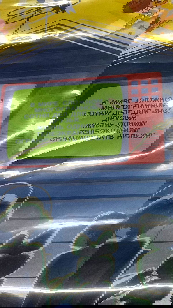 zommmbri image ~ Altpins