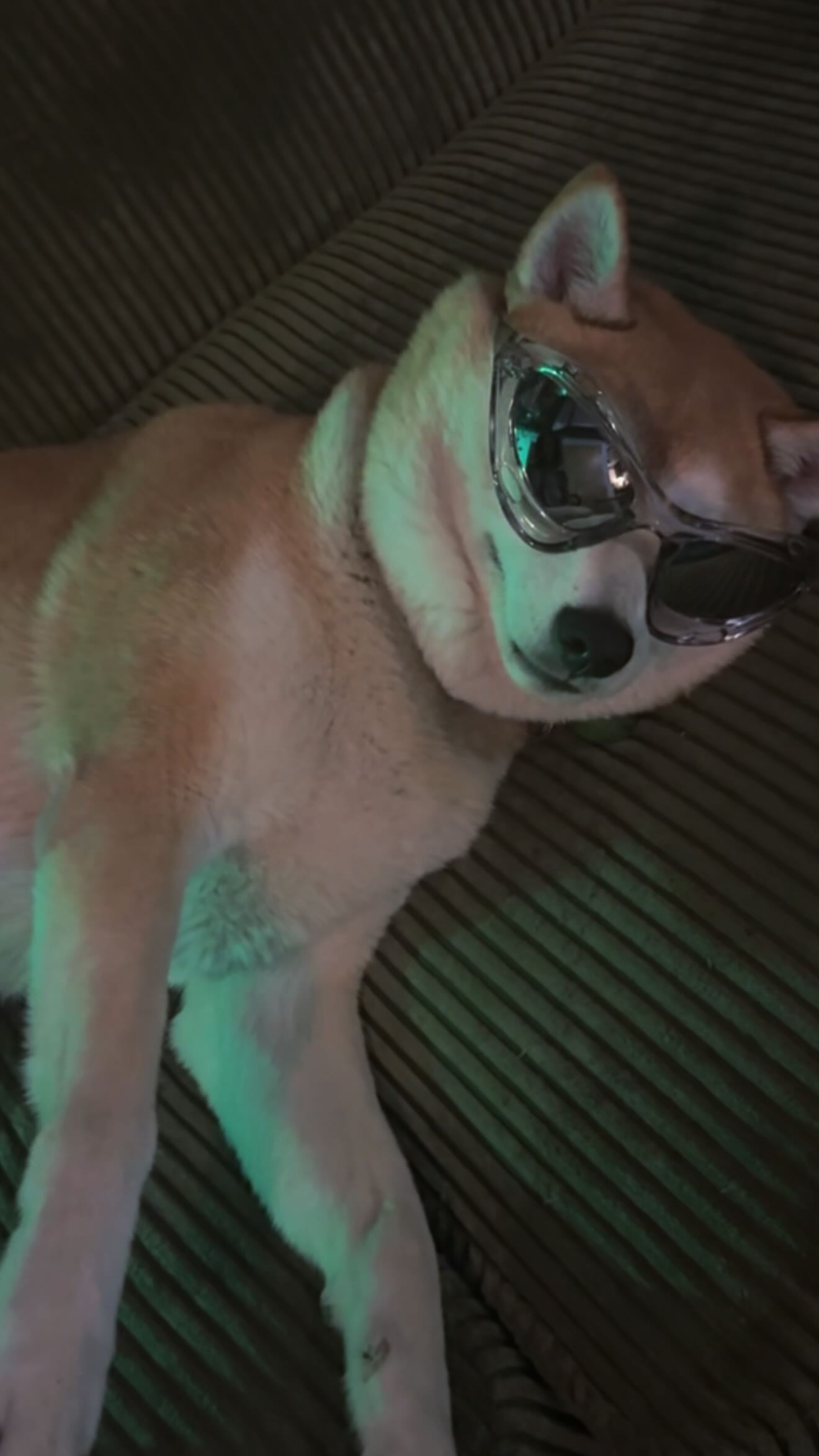 zommmbri instagram image archive image