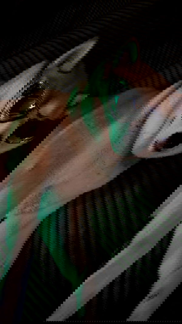 zommmbri image ~ Altpins