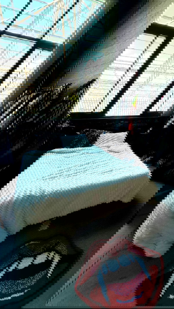 zommmbri image ~ Altpins