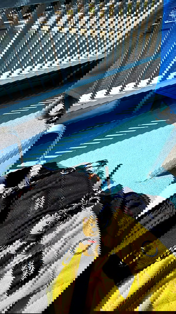 zommmbri image ~ Altpins