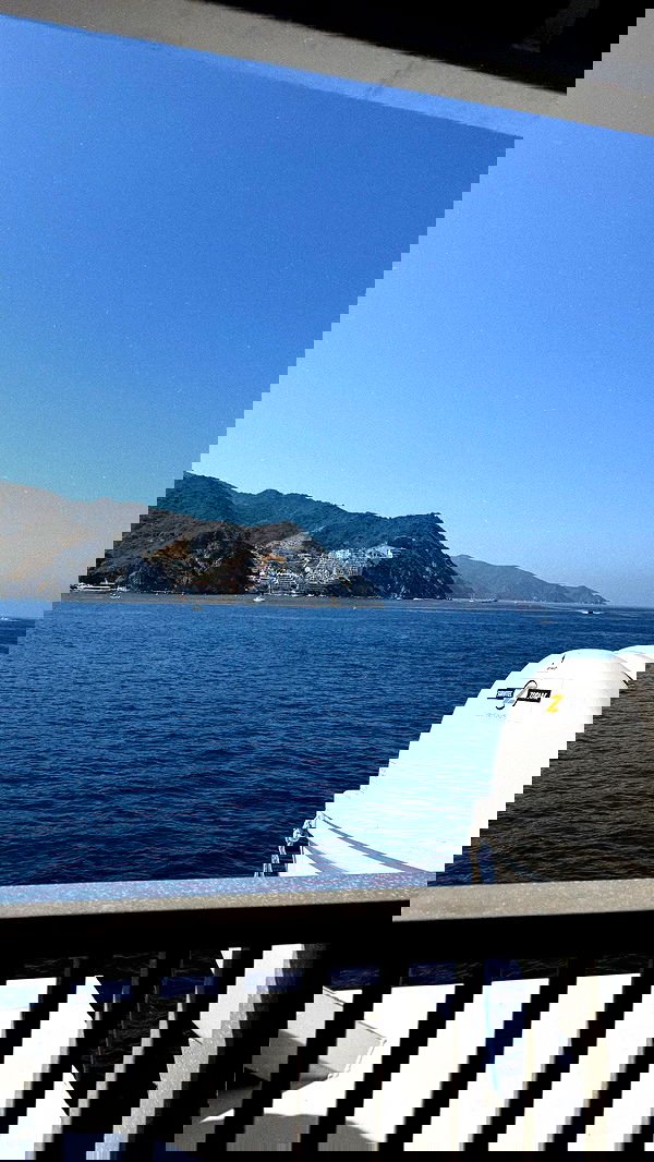 zommmbri image ~ Altpins