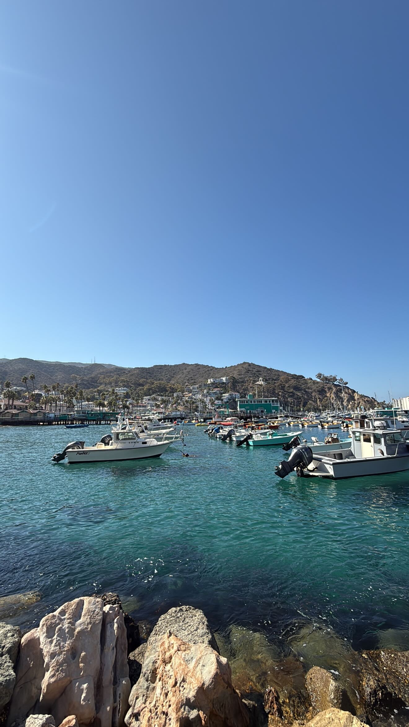 zommmbri instagram image archive image