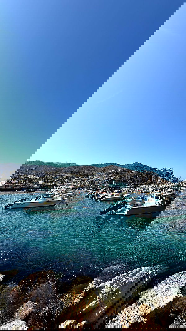 zommmbri image ~ Altpins