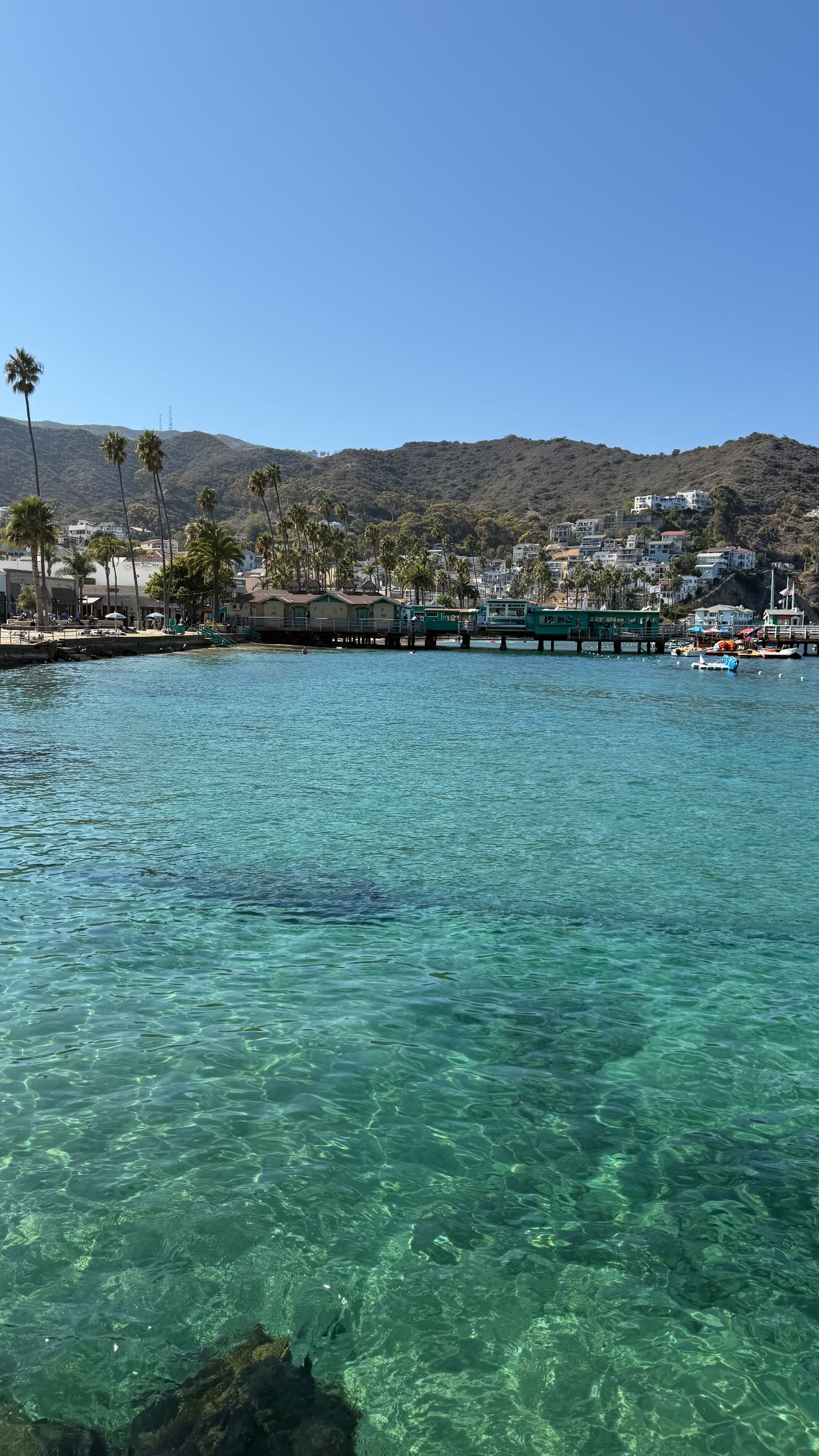 zommmbri instagram image archive image