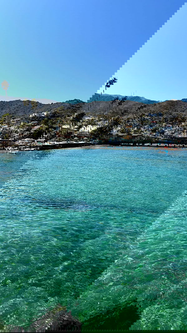 zommmbri image ~ Altpins