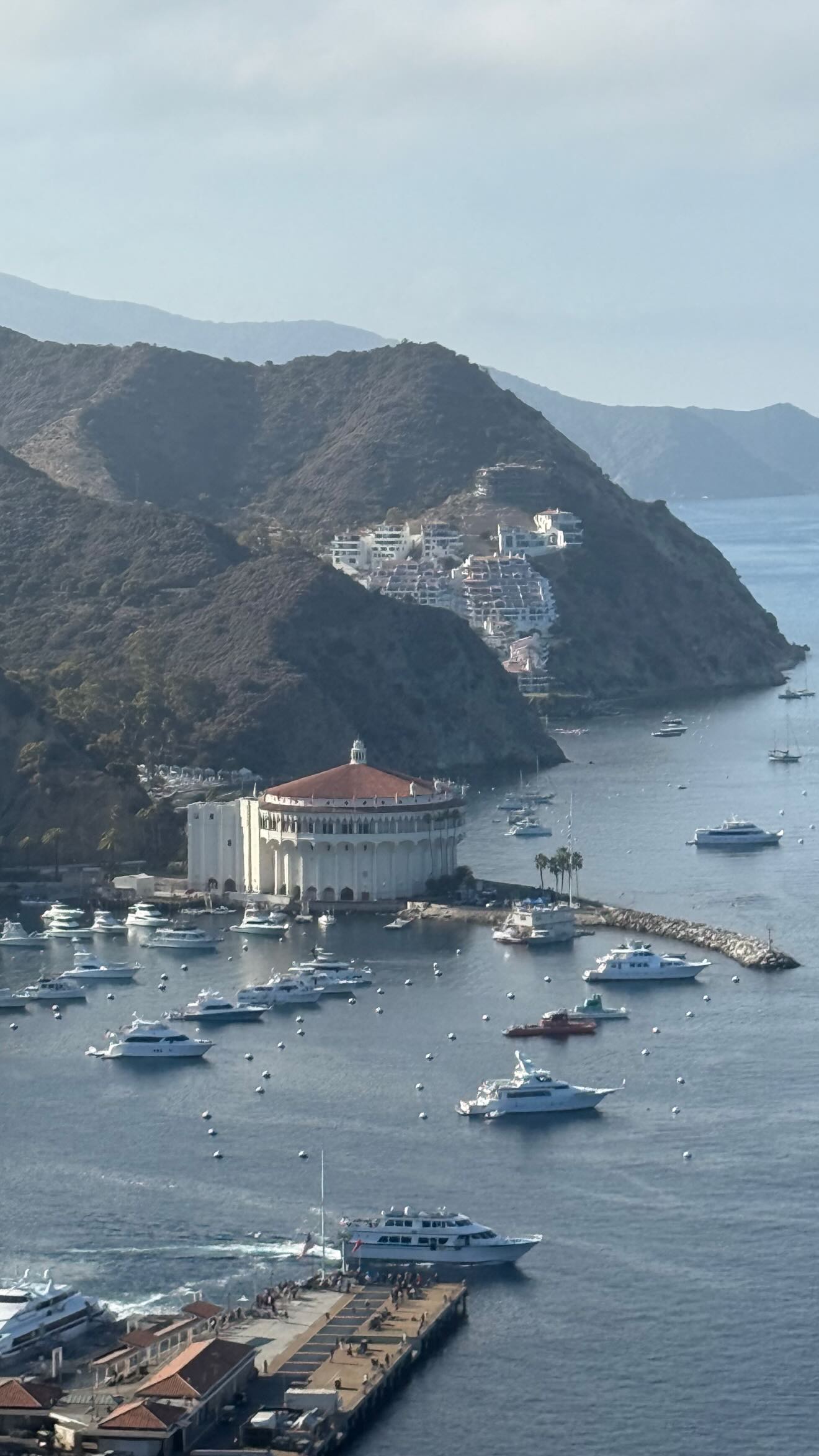 zommmbri instagram image archive image