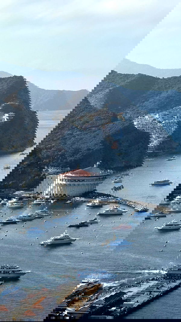 zommmbri image ~ Altpins