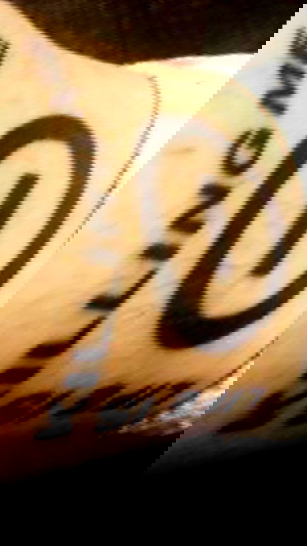 zommmbri image ~ Altpins