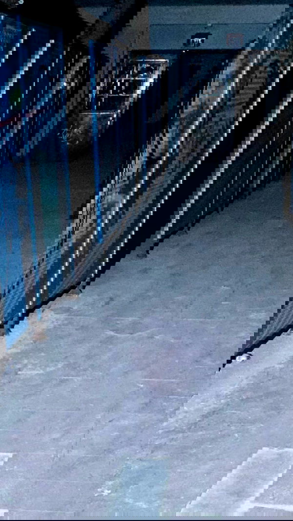 zommmbri image ~ Altpins