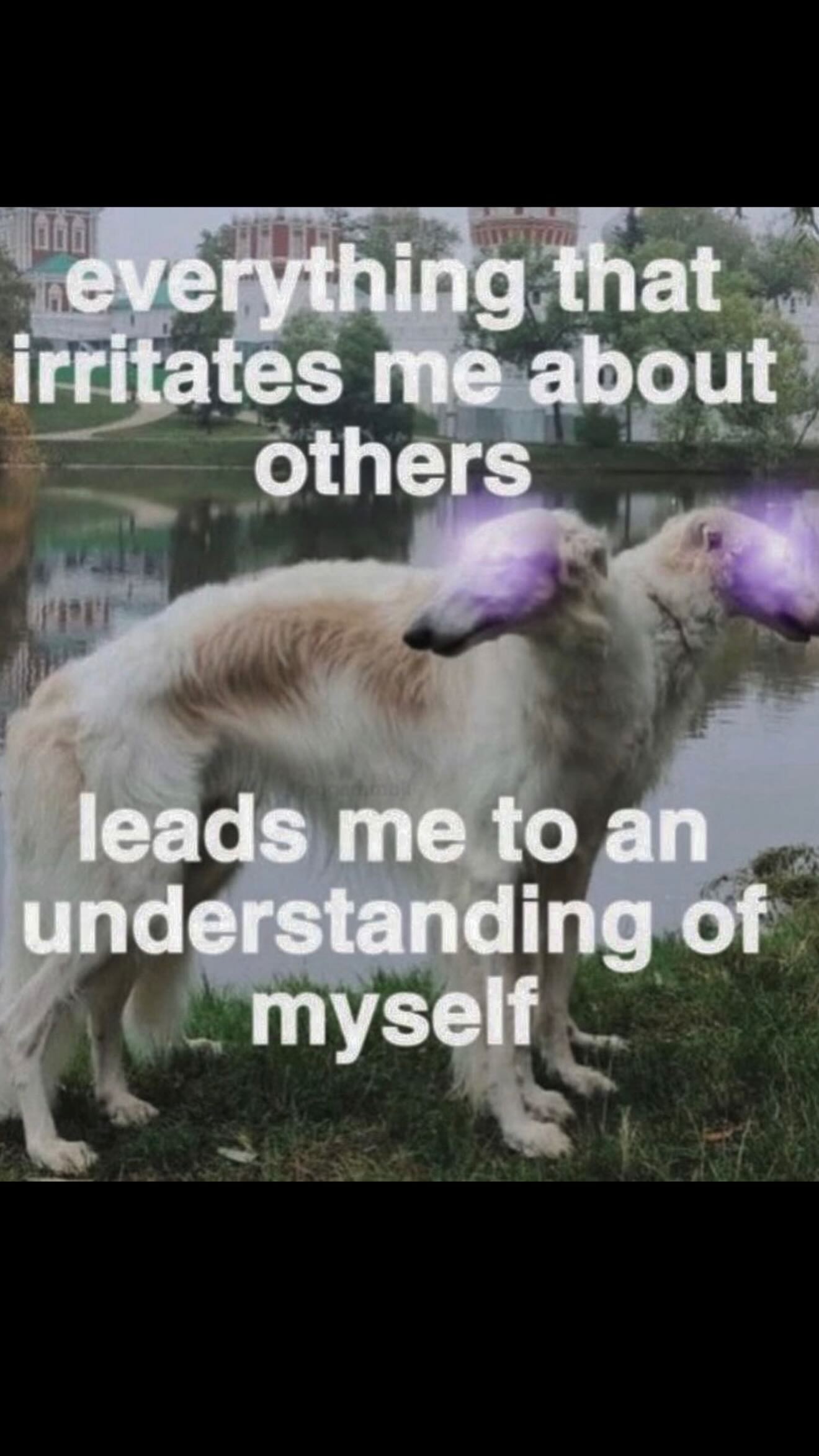 zommmbri instagram image archive image